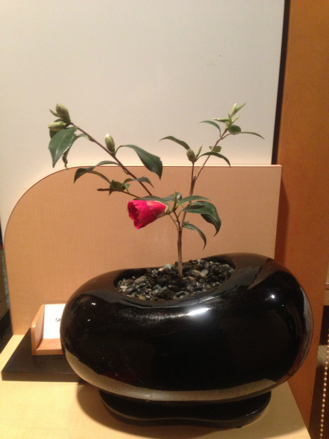 作品集・葉月園